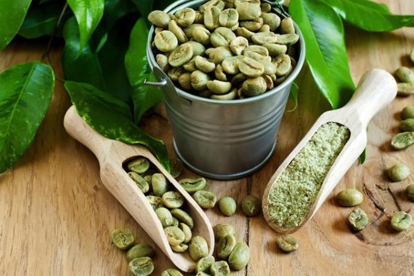 GREEN COFFEE BEAN GREEN COFFEE BEAN
