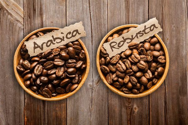 ROBUSTA & ARABICA COFFEE ROBUSTA & ARABICA COFFEE