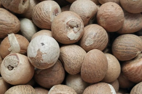 betel nut betel nut
