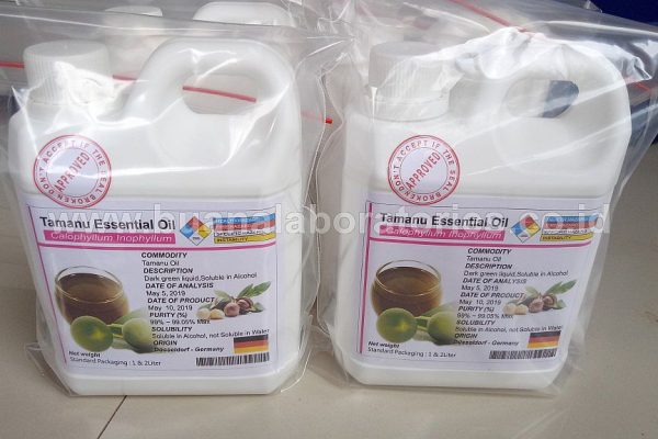 minyak nyamplung minyak nyamplung